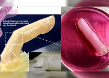 ह्यूमनॉइड रोबोट