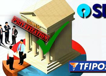 Bank Privatization