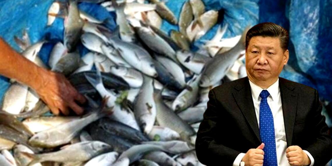 Xi Jinping