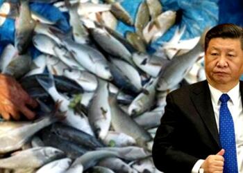 Xi Jinping
