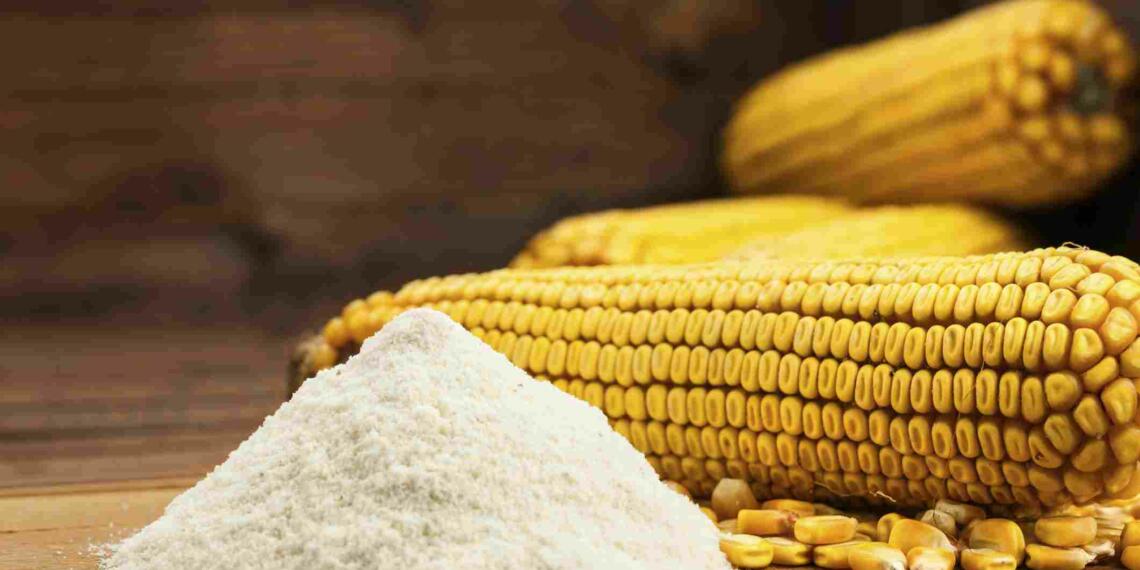 Corn flour recipe