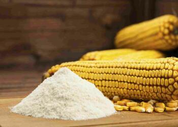 Corn flour recipe