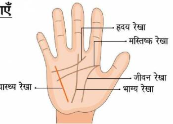 Basic Hast rekha gyan picture