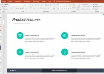 PPT slides