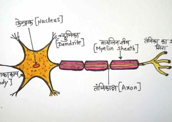 Tantrika Tantra picture