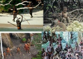 sentinelese tribe
