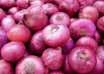 Benefit and Types of Onion list
