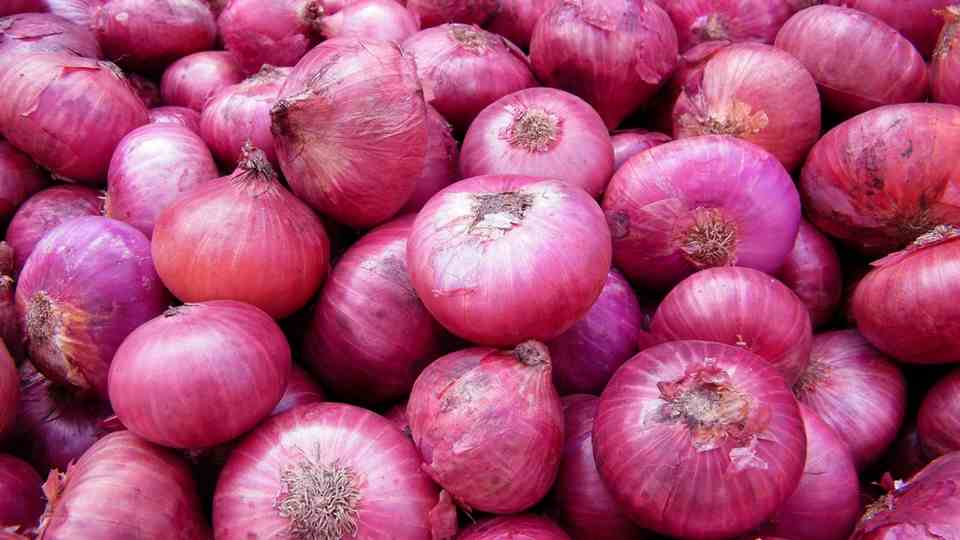 Benefit and Types of Onion list