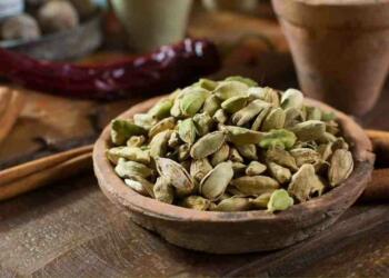 Elaichi khane ke fayde list