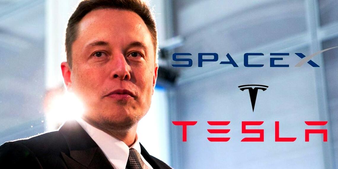 एलन मस्क