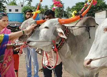 bali pola festival celebration