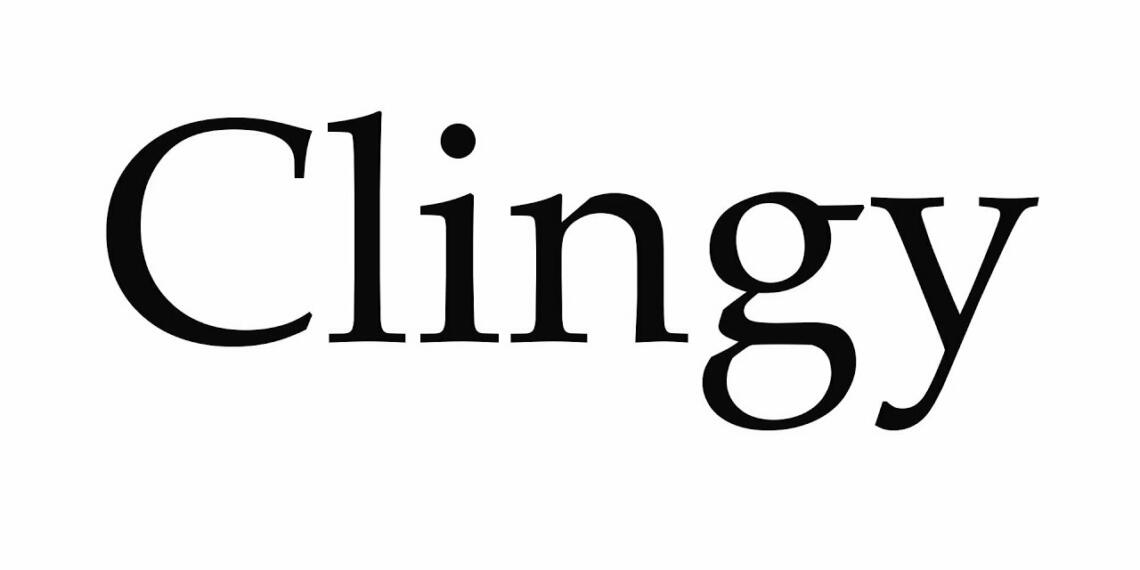 clingy meaning in Hindi