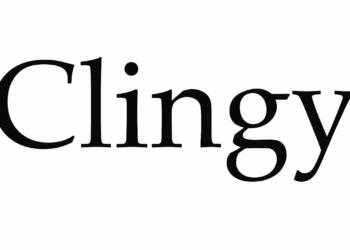 clingy meaning in Hindi