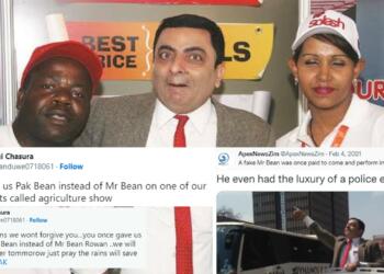 नकली मिस्टर बीन