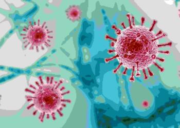 covid 19 nibandh in hindi