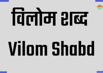 आधार का विलोम शब्द