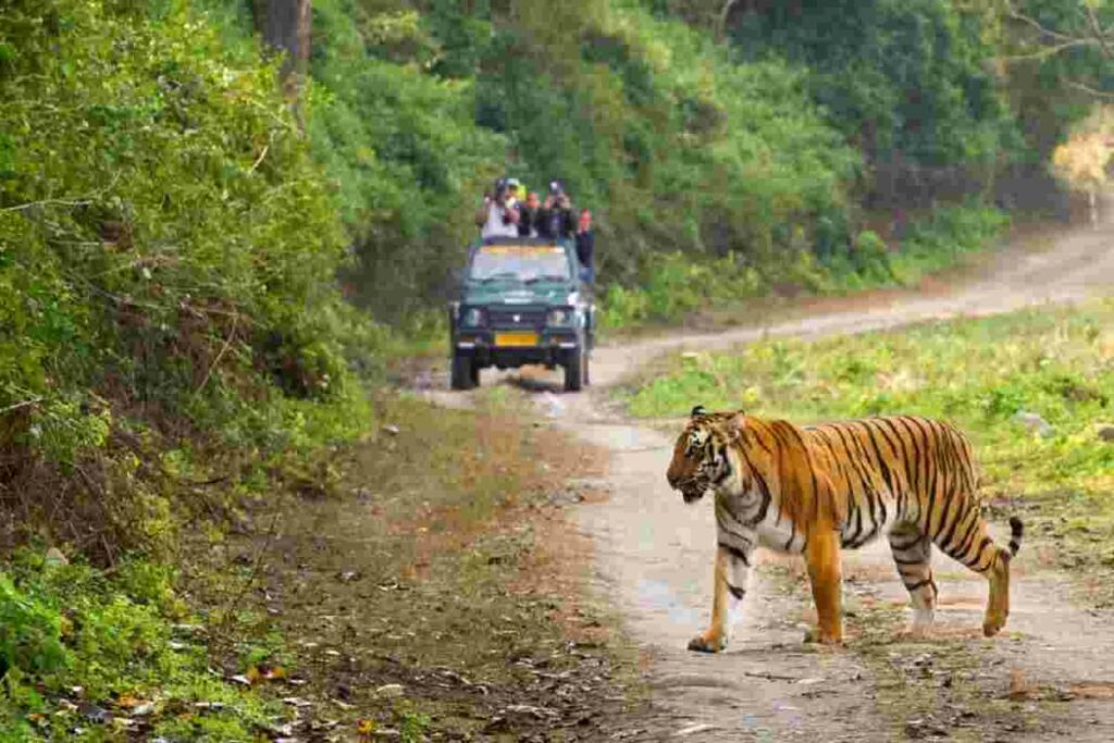 कॉर्बेट नेशनल पार्क कहां स्थित है