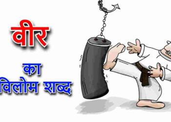 वीर का विलोम शब्द 