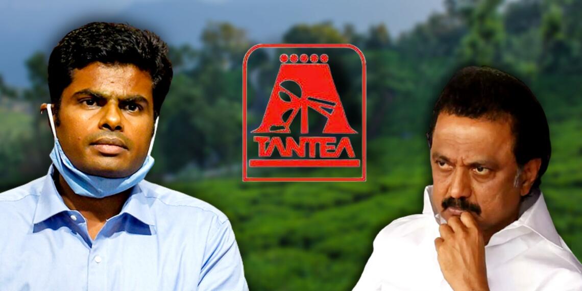 के अन्नामलाई, Annamalai is going to take the bull named Stalin by the horns to save 15000 families