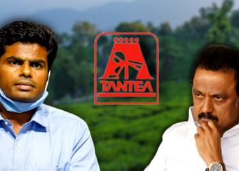 के अन्नामलाई, Annamalai is going to take the bull named Stalin by the horns to save 15000 families