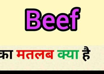 Beef meaning in hindi