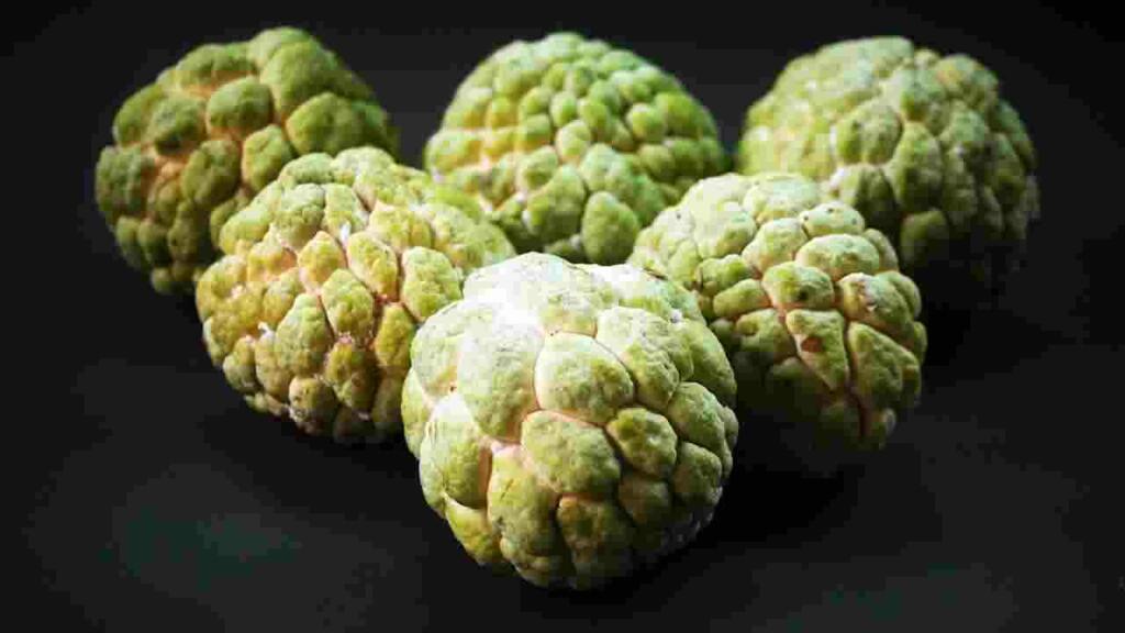 Custard apple in hindi