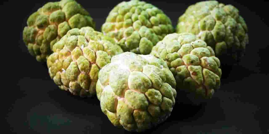 Custard apple in hindi