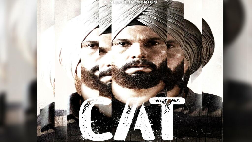 CAT: The most accurate depiction of Punjab Ever