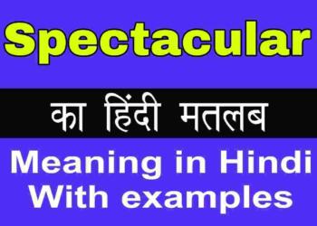 Spectacular meaning in hindi