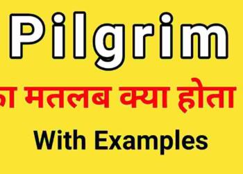 Pilgrimage meaning in hindi