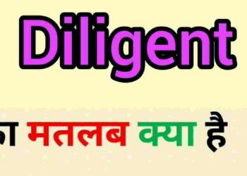 Diligent meaning in hindi
