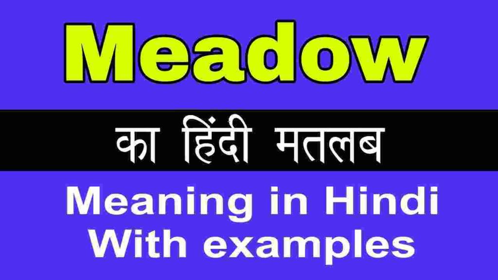 Meadow meaning in hindi