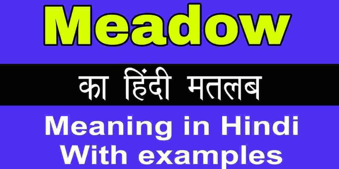 Meadow meaning in hindi
