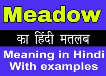 Meadow meaning in hindi
