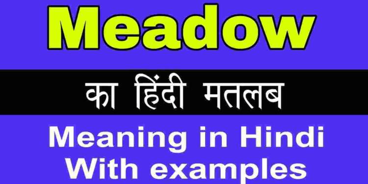 Meadow meaning in hindi and 6 examples - tfipost.in