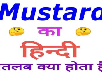 Mustard in hindi