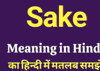 Sake meaning in hindi