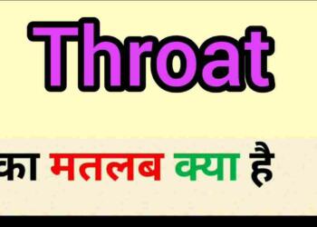 Throat meaning in hindi