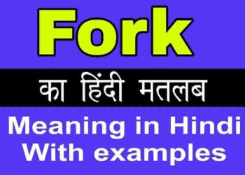 Fork meaning in hindi
