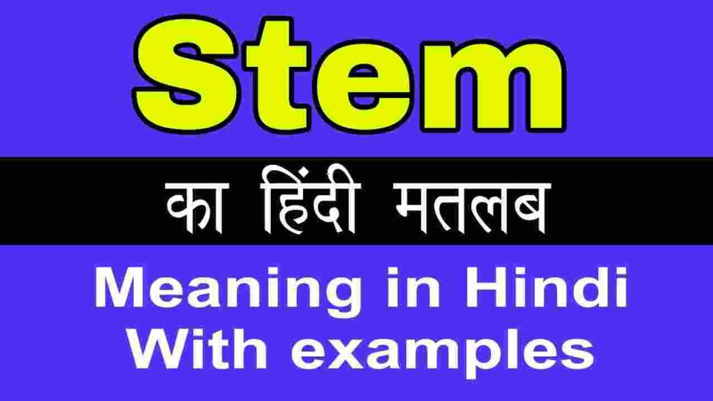 Stem meaning in hindi