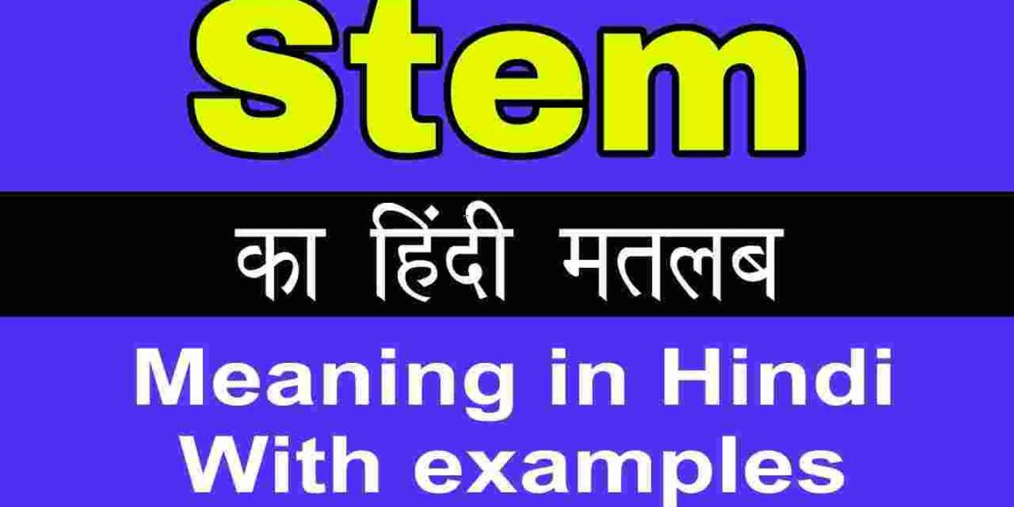 Stem meaning in hindi