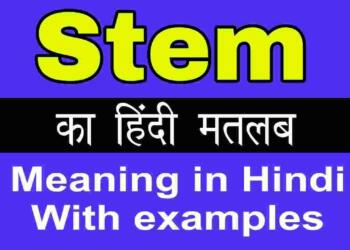 Stem meaning in hindi