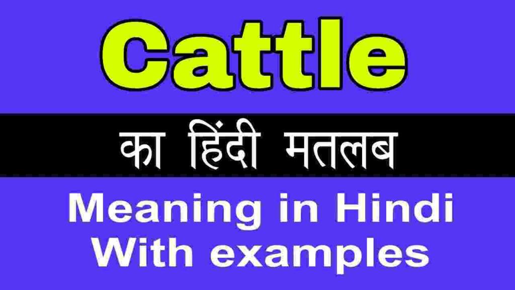 Cattle meaning in hindi