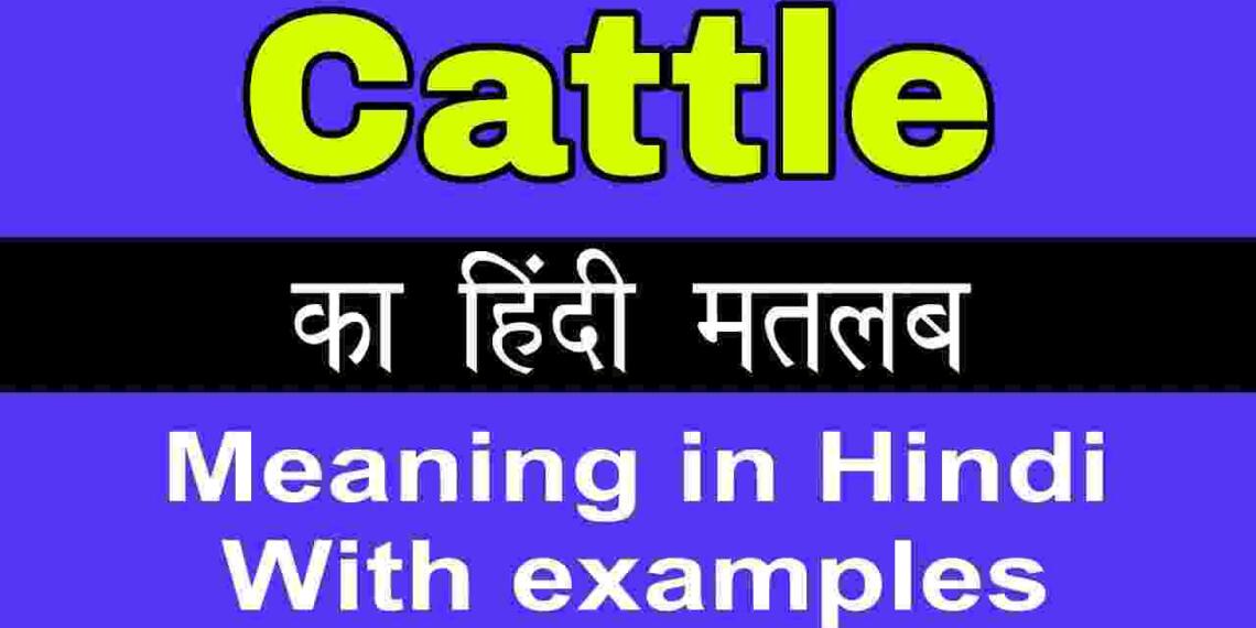 Cattle meaning in hindi