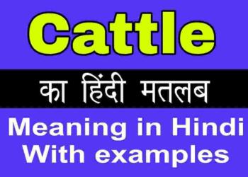 Cattle meaning in hindi