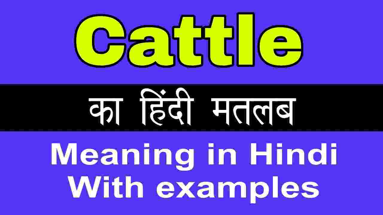 cattle-meaning-in-hindi-and-6-examples