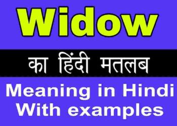  Widow meaning in hindi