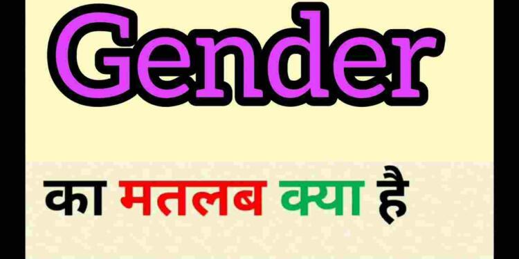 Gender Meaning In Hindi And 7 Examples