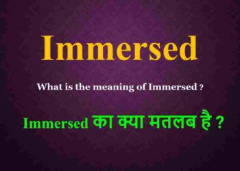 Immersed meaning in hindi
