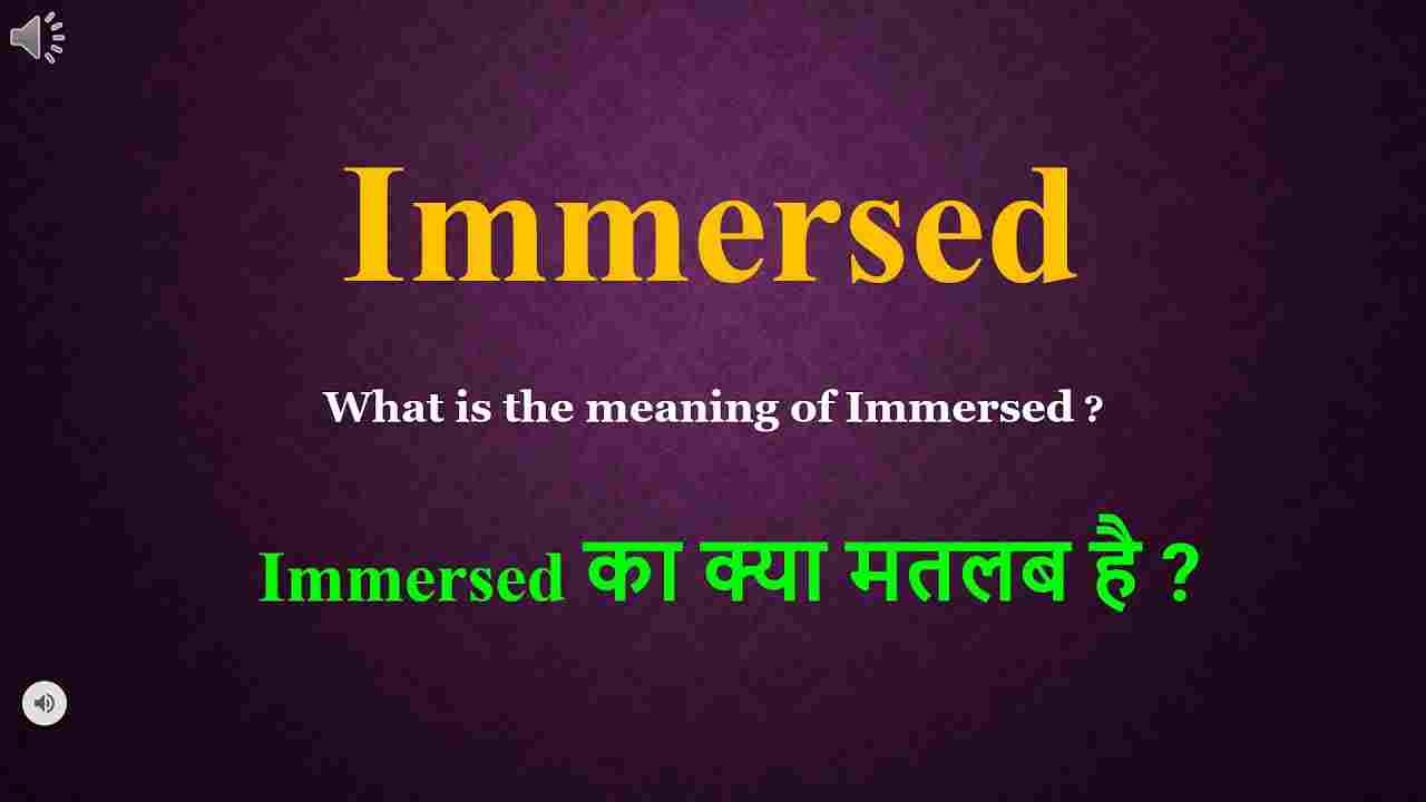 Immersed Meaning In Hindi